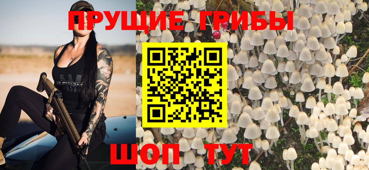 Галлюциногенные грибы Psilocybe Вязники